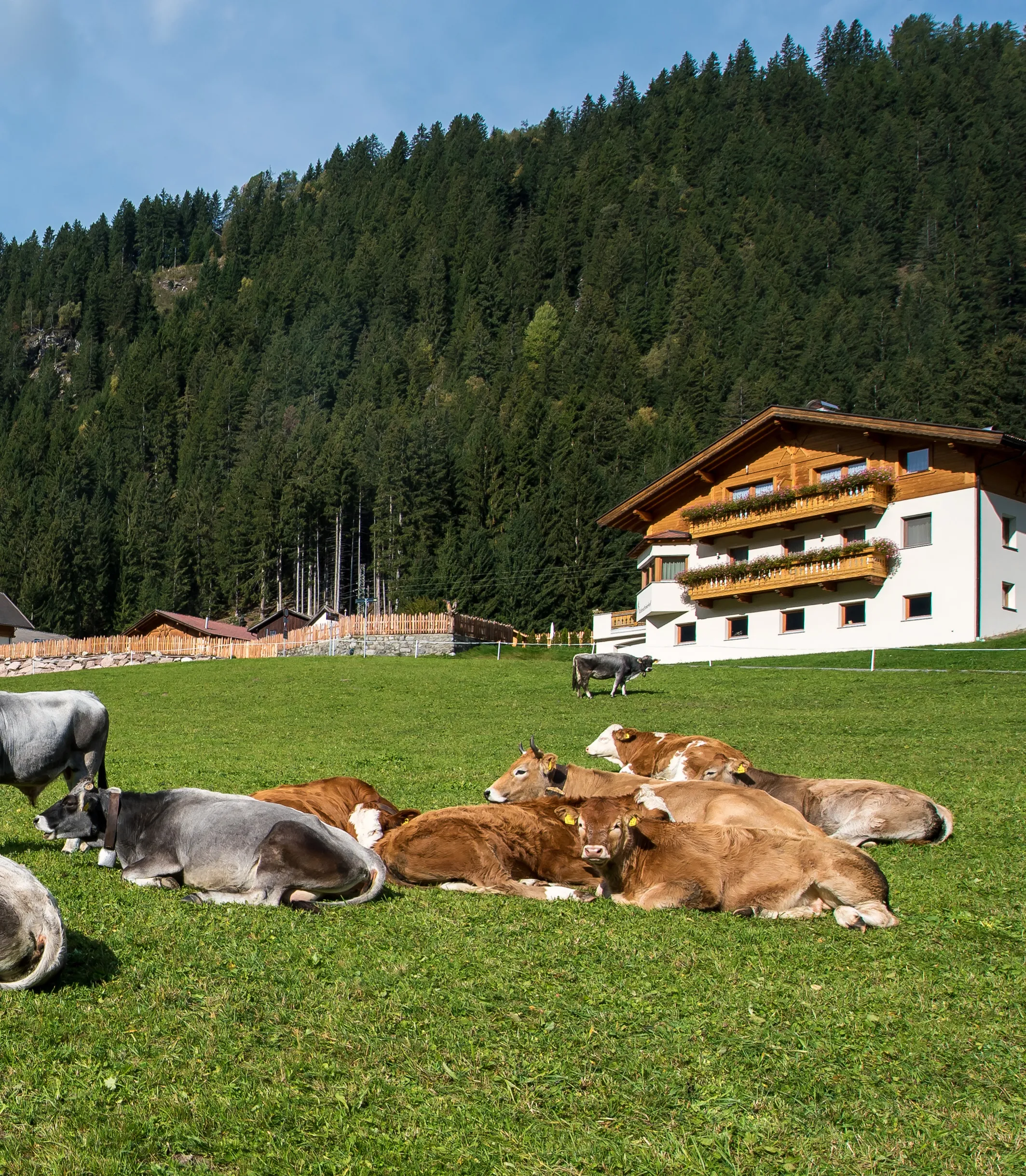 Rabensteiner Christian — foto 1